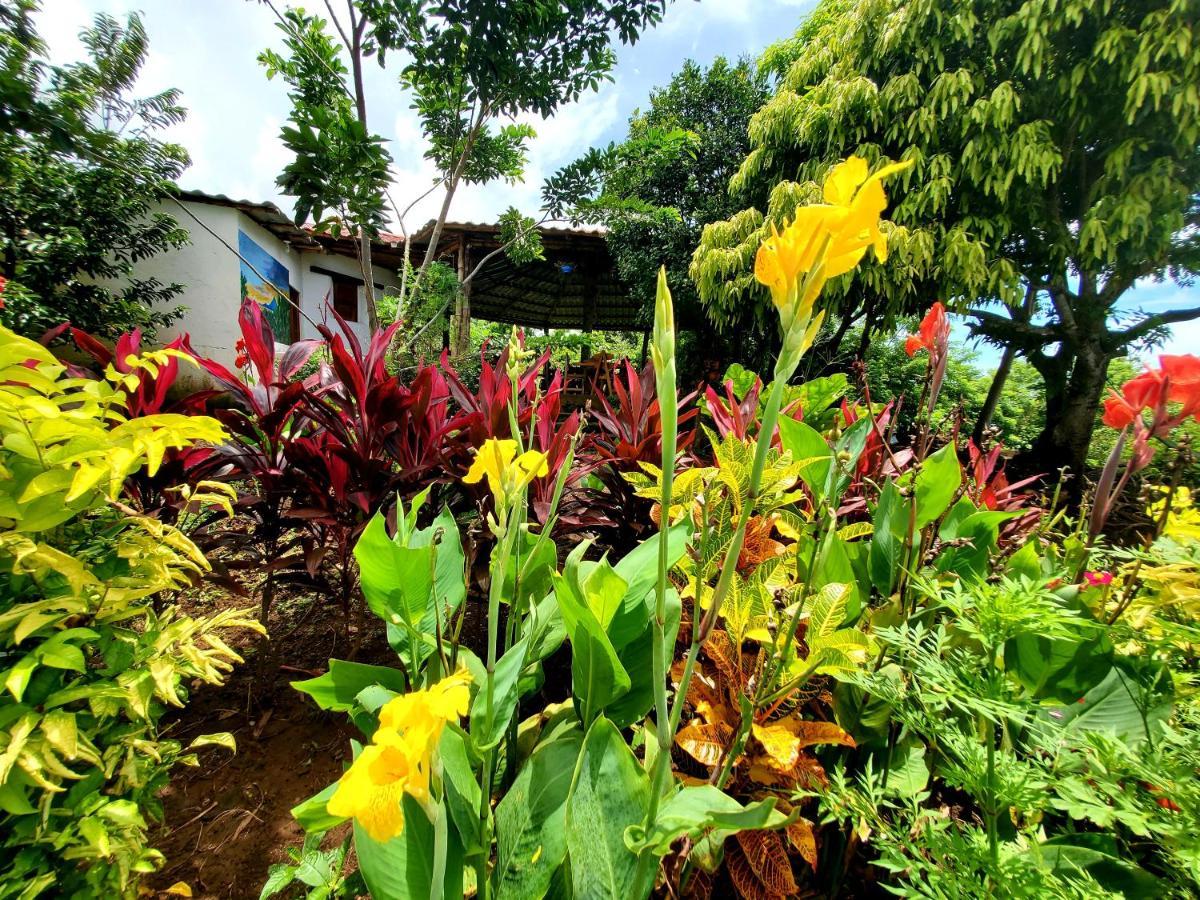 The Jungle Vila Mérida Exterior foto