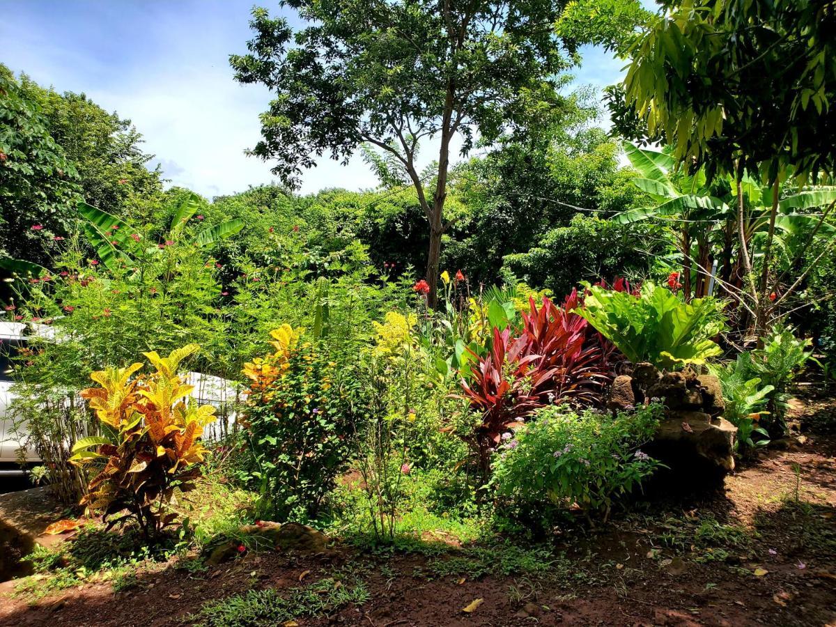 The Jungle Vila Mérida Exterior foto