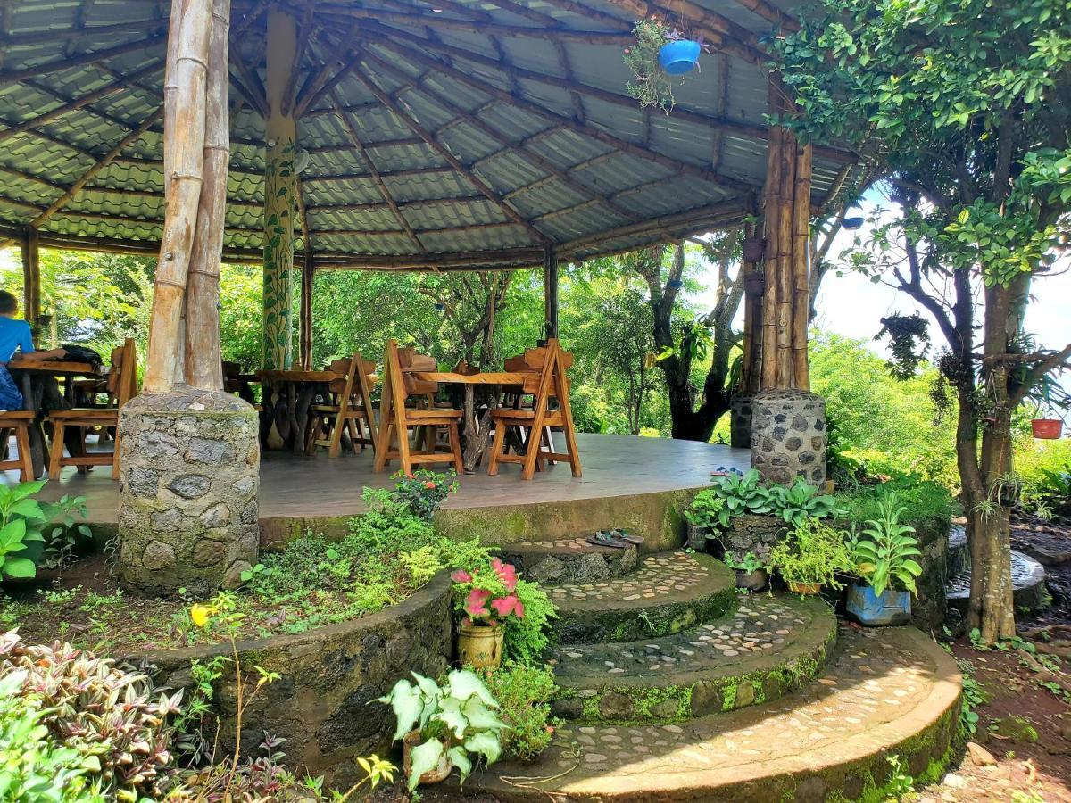 The Jungle Vila Mérida Exterior foto