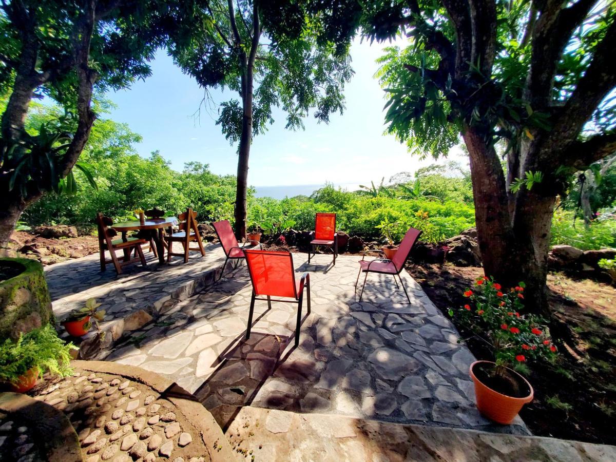 The Jungle Vila Mérida Exterior foto