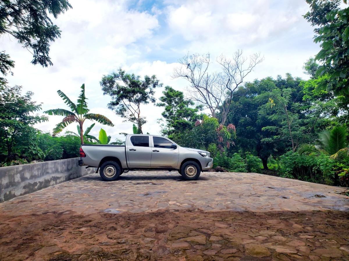The Jungle Vila Mérida Exterior foto