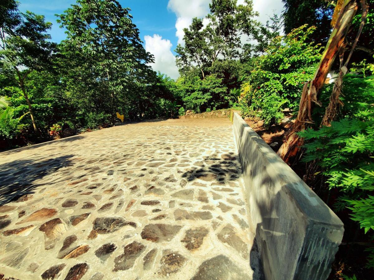 The Jungle Vila Mérida Exterior foto