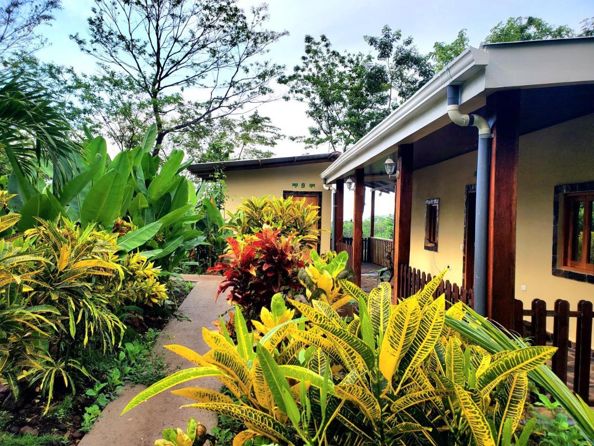 The Jungle Vila Mérida Exterior foto