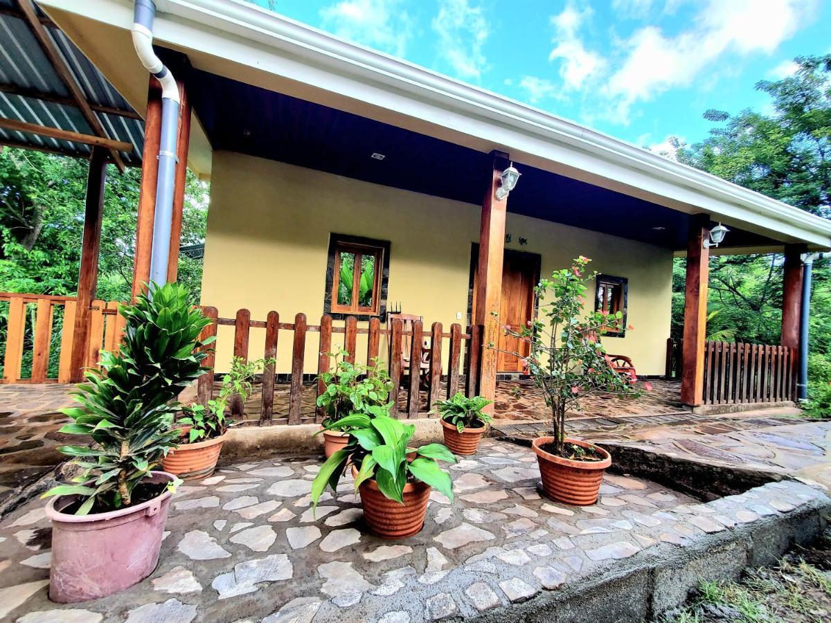 The Jungle Vila Mérida Exterior foto