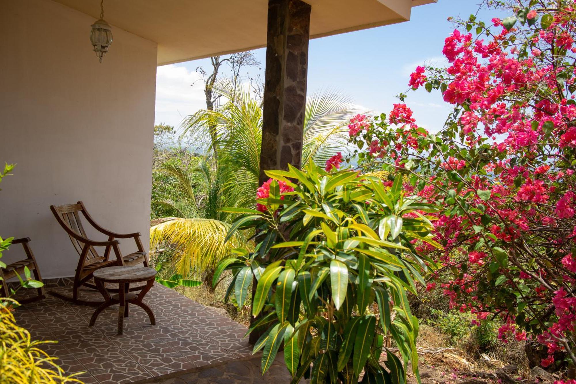 The Jungle Vila Mérida Exterior foto