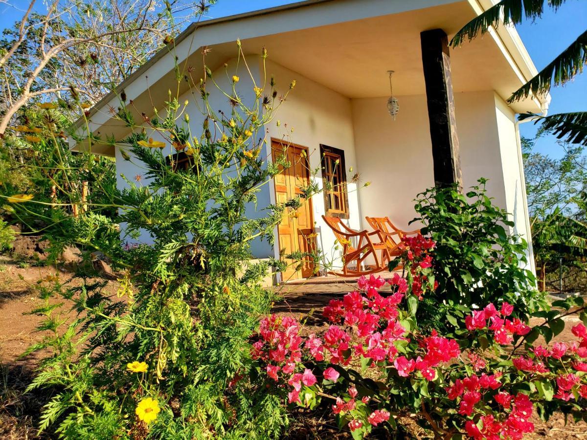 The Jungle Vila Mérida Exterior foto